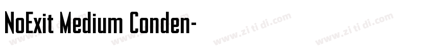 NoExit Medium Conden字体转换